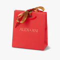 Red Gift Bag